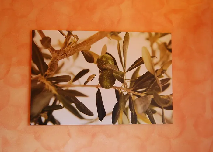 Quiet Bed and breakfast 3*