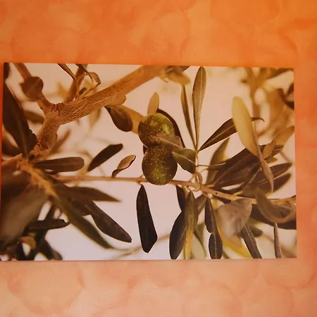 Quiet Bed and Breakfast 3*